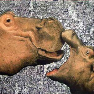 Hippo #2, oil on canvas, 40cm by 50cm, (2013)