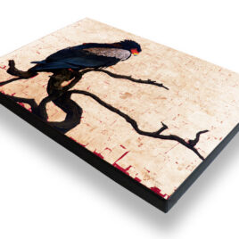 Bateleur Eagle I – Archival Canvas Print Stretched
