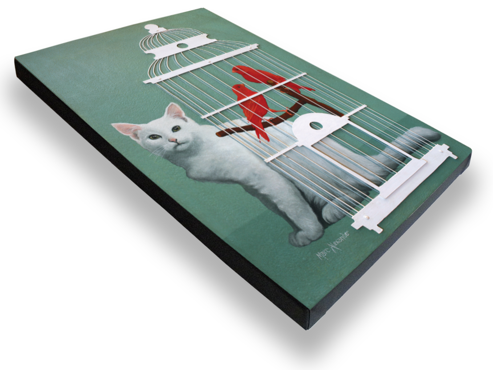 Marc Alexander | Bird Cage I | Canvas Print Stretched