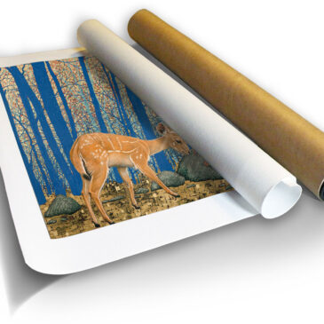 Enchanted Forest III – Archival Canvas Print in a Tube