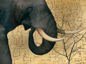 Marc Alexander | Mighty Tusker | In The Balance Exhibit