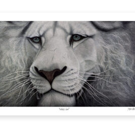 White Lion – Archival Paper Print