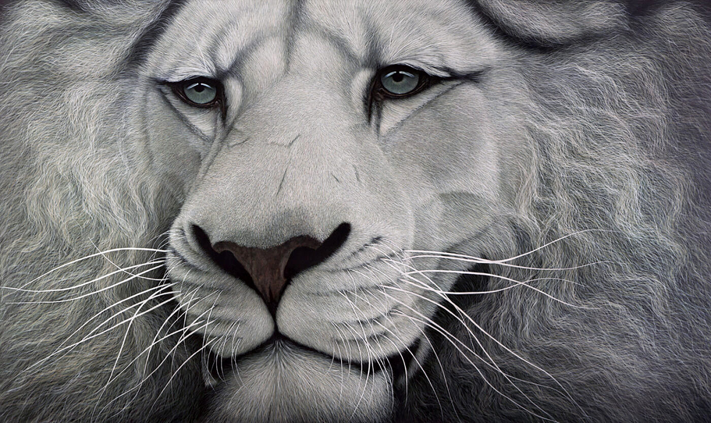 Marc Alexander | White Lion | In The Balance