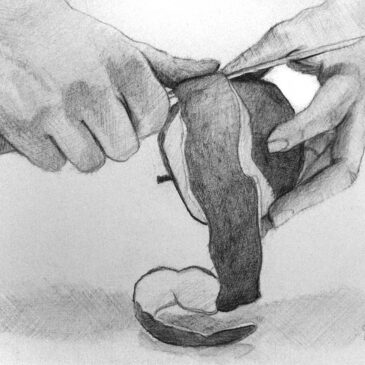 Marc Alexander | Apple | Touch Series
