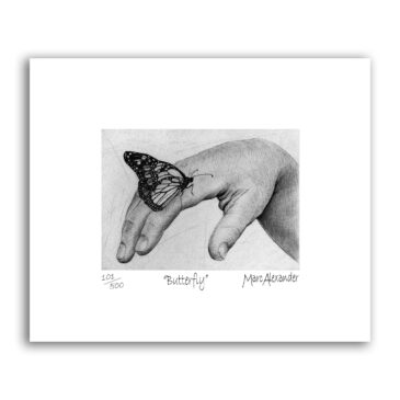 Butterfly – Archival Print Unframed