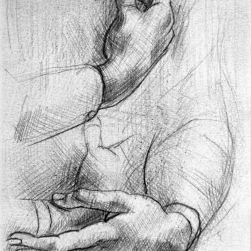 Marc Alexander | Da Vincis Hands | Touch Series