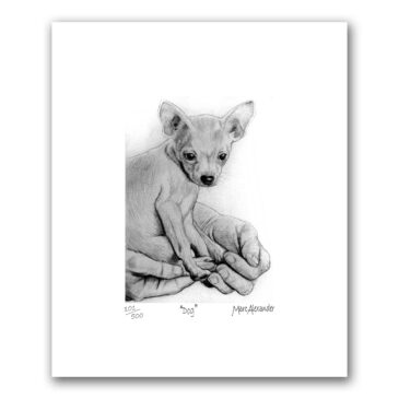 Dog – Archival Print Unframed