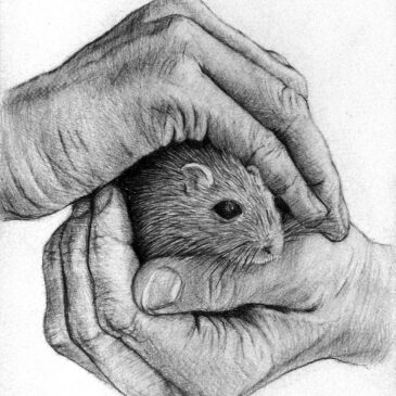 Marc Alexander | Hamster | Touch Series