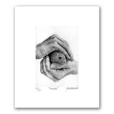 Hamster – Archival Print Unframed