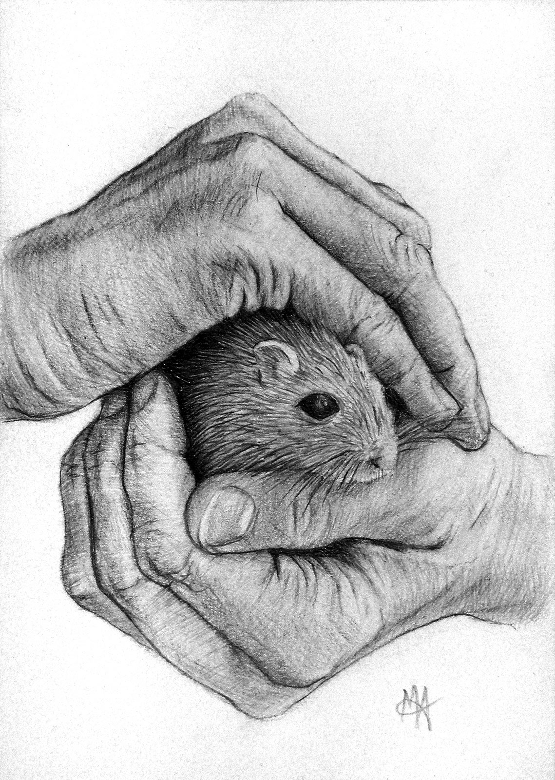 Marc Alexander | Hamster | Touch Series