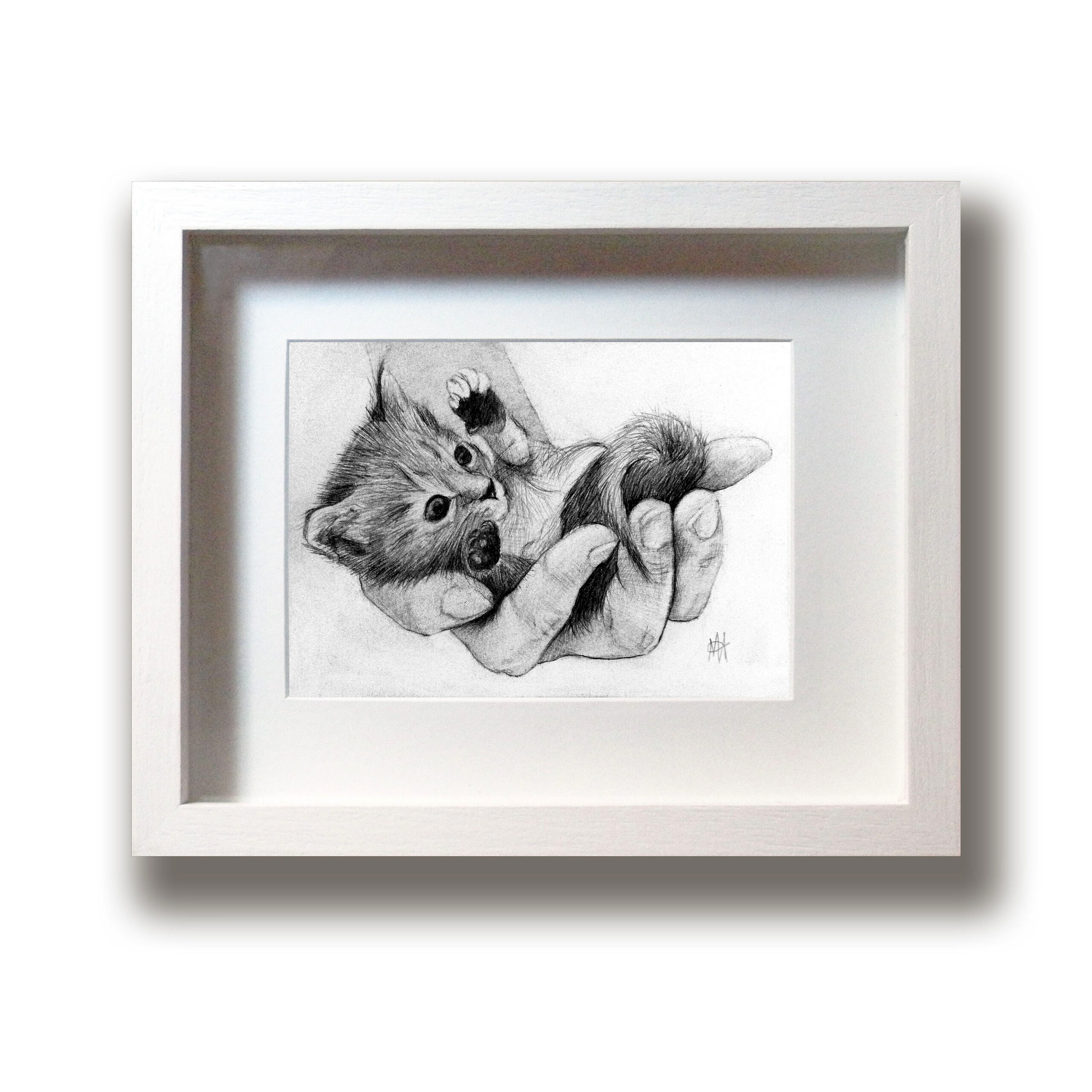 Marc Alexander | Kitten | Touch Series | Original Framed