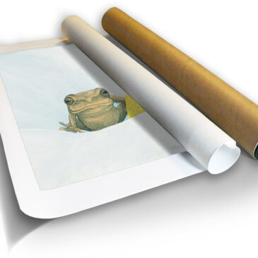 Reed Frog I – Archival Canvas Print in a Tube