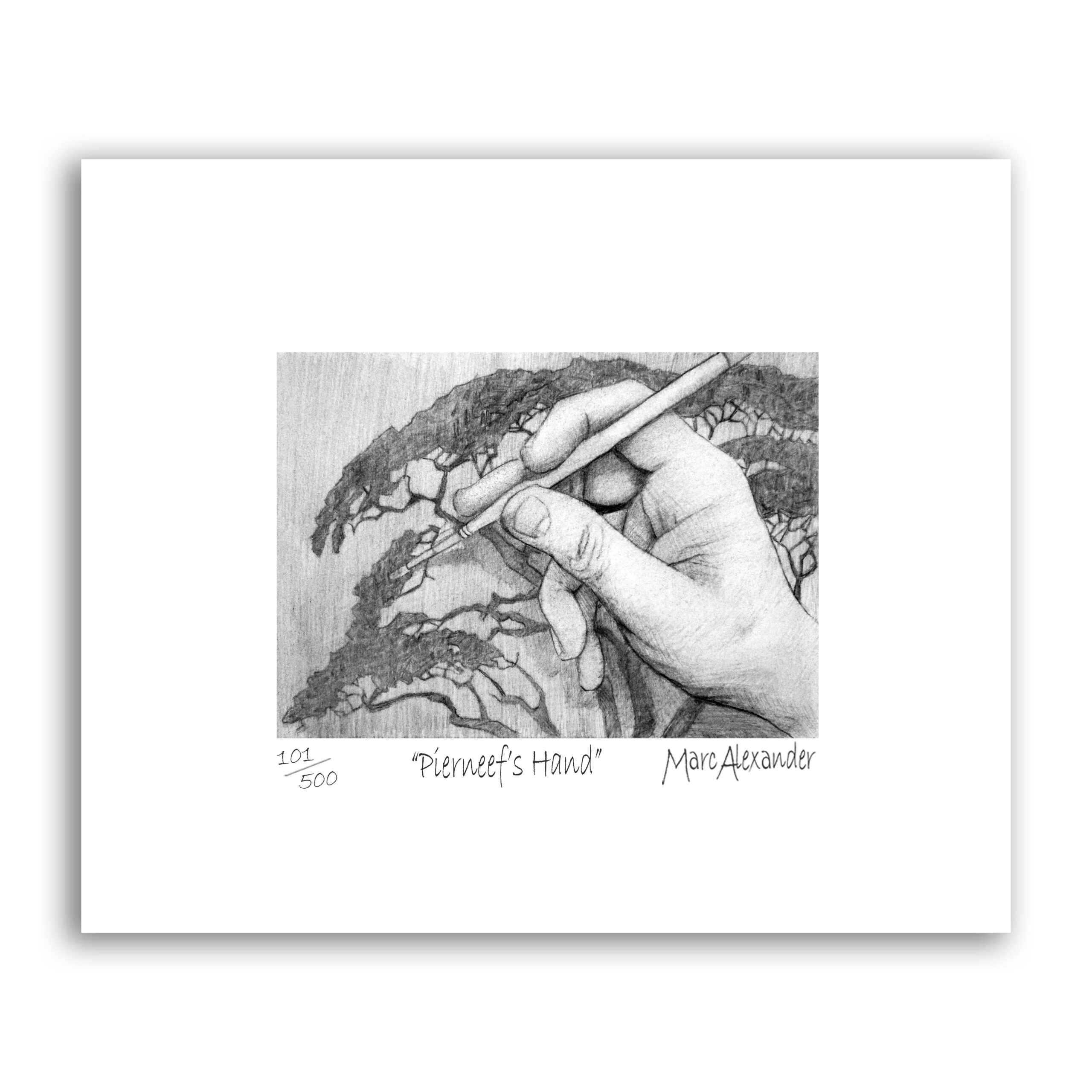 Marc Alexander | Pierneefs Hand | Touch Series | Archival Paper Print