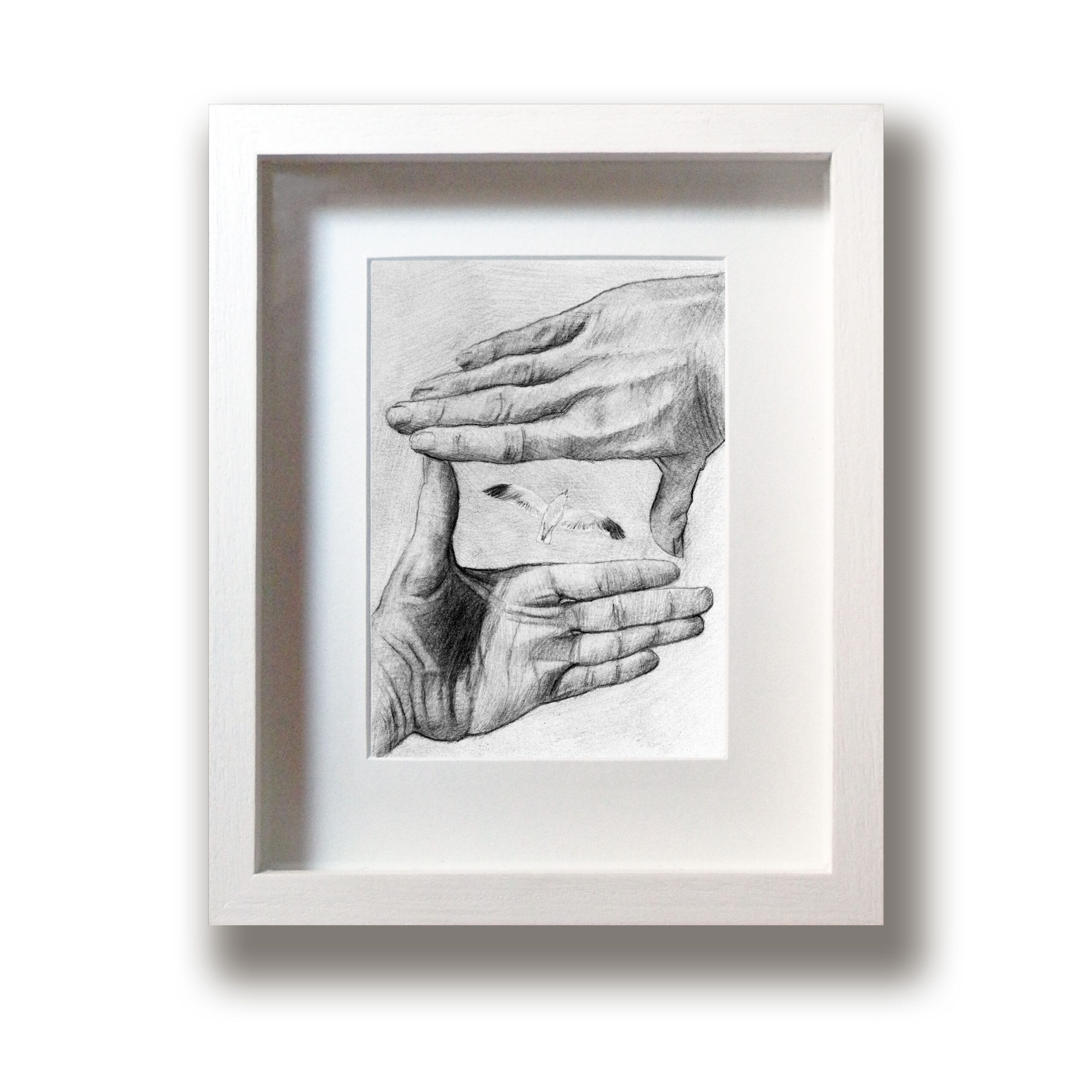 Marc Alexander | Seagull Frame | Touch Series | Original Framed